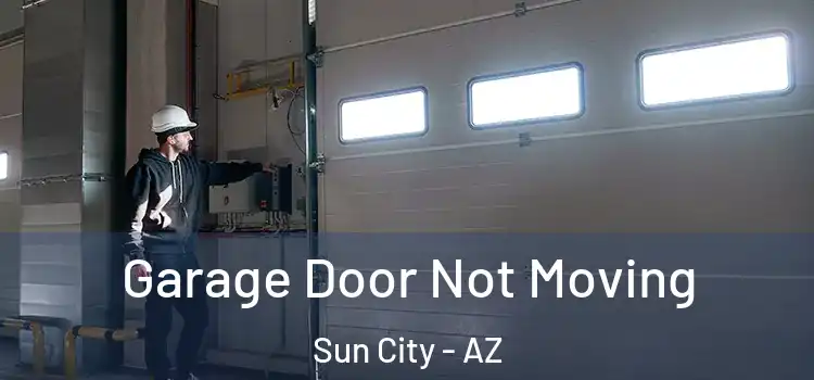  Garage Door Not Moving Sun City - AZ