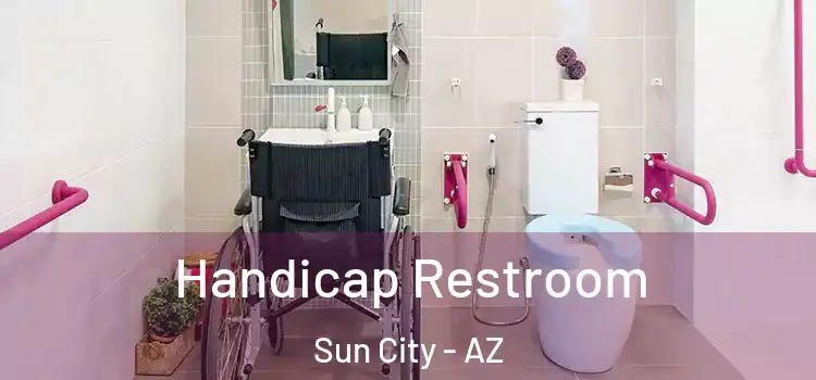  Handicap Restroom Sun City - AZ